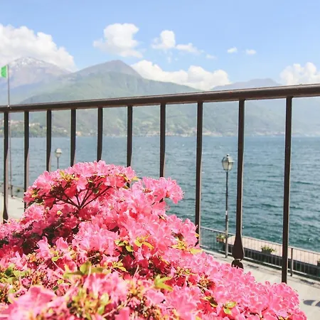 La Perla Del * Донго